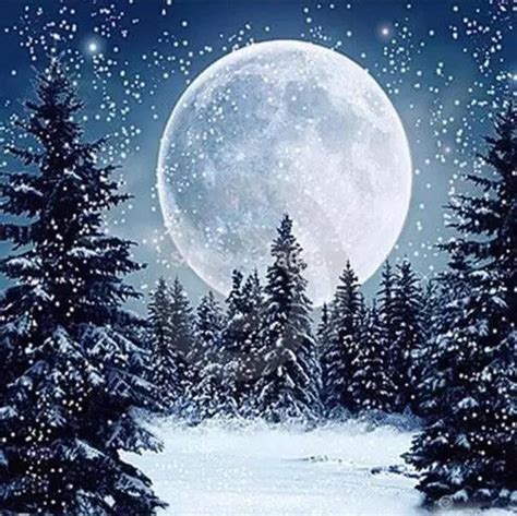 Tapping into the Ancient Wisdom of the Twinkling Snowy Moon Maiden